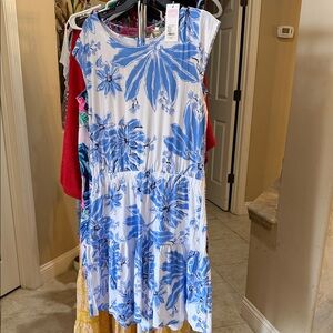 Lilly Pulitzer Danville dress Floral Blue and White jet set jungle New XL